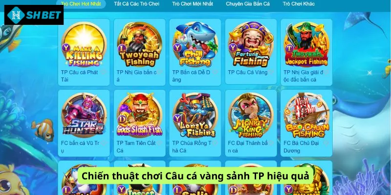 Chiến thuật chơi Câu cá vàng sảnh TP hiệu quả