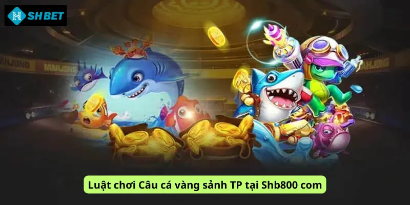 Luật chơi Câu cá vàng sảnh TP tại Shb800 com