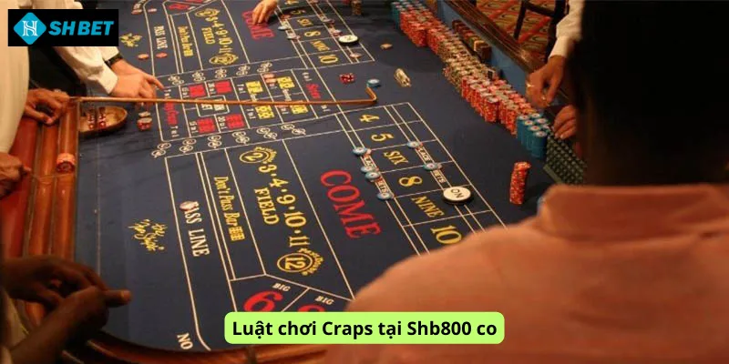 Luật chơi Craps tại Shb800 co
